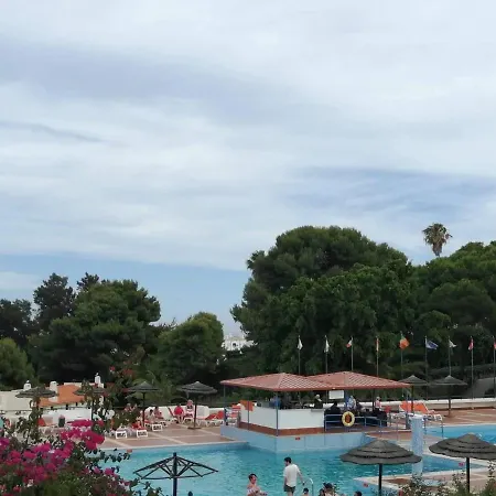 Tradicional アルブフェイラ